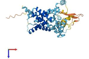 AlphaFold protein structure predicition of Human Recombinant SLC25A40 Protein, UniprotID Q8TBP6