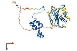 AlphaFold protein structure predicition of Human Recombinant PLK5 Protein, UniprotID Q496M5