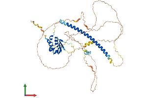 AlphaFold protein structure predicition of Human Recombinant HSF4 Protein, UniprotID Q9ULV5