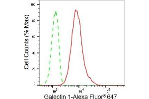 Flow cytometric analysis of Galectin 1 expression in C2C12 cells using Galectin 1 antibody (ABIN7799243), 1:2,000). (Recombinant LGALS1/Galectin 1 anticorps)