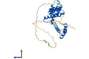 AlphaFold protein structure predicition of Mouse Recombinant Six2 Protein, UniprotID Q62232