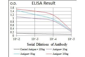 Image no. 7 for anti-Twinfilin, Actin-Binding Protein 1 (TWF1) antibody (ABIN1491429)