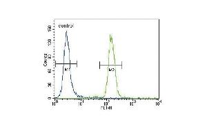 Puma BH3 Domain Antibody (ABIN388112 and ABIN2846254) flow cytometric analysis of Hela cells (right histogram) compared to a negative control cell (left histogram).