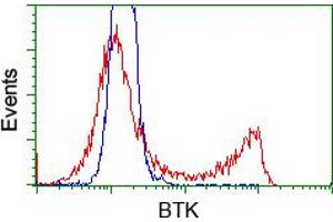 Image no. 4 for anti-Bruton Agammaglobulinemia tyrosine Kinase (BTK) antibody (ABIN1496973) (BTK anticorps)