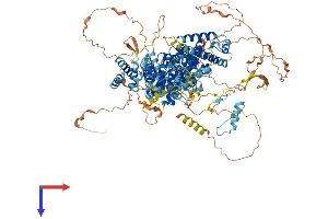 AlphaFold protein structure predicition of Human Recombinant RBL2 Protein, UniprotID Q08999