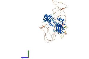 AlphaFold protein structure predicition of Mouse Recombinant Grhl1 Protein, UniprotID Q921D9