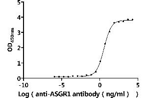 Measured by its binding ability in a functional ELISA.