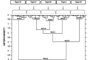 FTIR spectra classification model for the five collagen types.