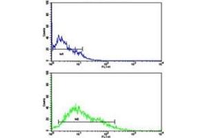 Flow cytometric analysis of HL-60 cells using LIN28B antibody (green) compared to a negative control (blue).