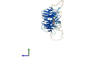 AlphaFold protein structure predicition of Human Recombinant ITFG2 Protein, UniprotID Q969R8