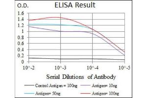 ELISA image for anti-Glutamate Receptor, Ionotropic, AMPA 2 (GRIA2) (AA 652-807) antibody (ABIN1843747) (GRIA2 anticorps  (AA 652-807))