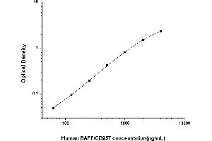 Typical standard curve (BAFF Kit ELISA)