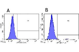 Flow-cytometry using anti-CCR3 antibody 5 E8-G9-B4   Human leukocytes were stained with an isotype control (panel A) or the rabbit-chimeric version of 5 E8-G9-B4 (panel B) at a concentration of 1 µg/ml for 30 mins at RT. (Recombinant CCR3 anticorps)