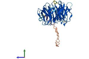AlphaFold protein structure predicition of Human Recombinant WDR31 Protein, UniprotID Q8NA23