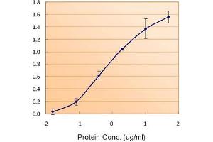 Image no. 3 for anti-Ferritin, Light Polypeptide (FTL) (C-Term), (Light Chain) antibody (ABIN375068) (FTL anticorps  (C-Term, Light Chain))