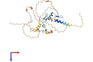 AlphaFold protein structure predicition of Human Recombinant EGR3 Protein, UniprotID Q06889