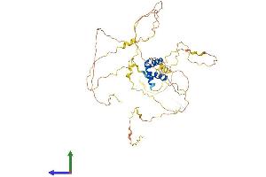 AlphaFold protein structure predicition of Human Recombinant IRX1 Protein, UniprotID P78414