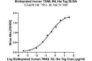 Immobilized Human TRAIL, No Tag at 2 μg/mL (100 μL/well) on the plate.