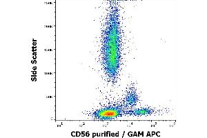 Flow cytometry surface staining pattern of human peripheral whole blood stained using anti-human CD56 (LT56) purified antibody (concentration in sample 2 μg/mL, GAM APC). (CD56 anticorps)