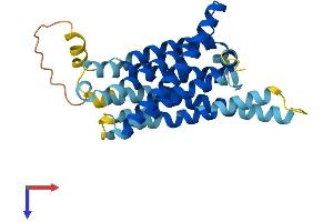 AlphaFold protein structure predicition of Human Recombinant TAS2R9 Protein, UniprotID Q9NYW1