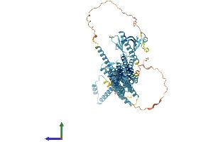 AlphaFold protein structure predicition of Human Recombinant EXOC8 Protein, UniprotID Q8IYI6