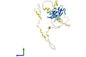 AlphaFold protein structure predicition of Human Recombinant PPP1R8 Protein, UniprotID Q12972