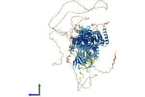 AlphaFold protein structure predicition of Human Recombinant ATP10A Protein, UniprotID O60312