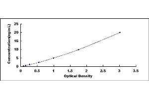 Typical standard curve (RBM24 Kit ELISA)