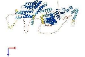 AlphaFold protein structure predicition of Mouse Recombinant Ift88 Protein, UniprotID Q61371