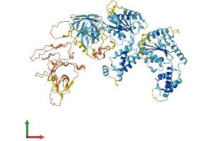 AlphaFold protein structure predicition of Mouse Recombinant Pex6 Protein, UniprotID Q99LC9