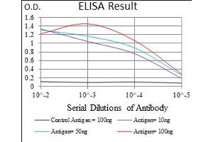 Fig. (SLUG anticorps  (AA 100-200))