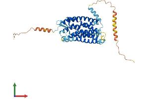 AlphaFold protein structure predicition of Human Recombinant ACKR2 Protein, UniprotID O00590