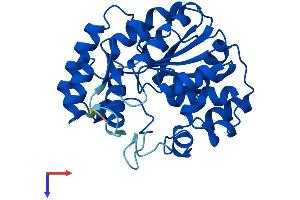 AlphaFold protein structure predicition of Human Recombinant SULT2A1 Protein, UniprotID Q06520