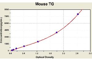 Diagramm of the ELISA kit to detect Mouse TGwith the optical density on the x-axis and the concentration on the y-axis. (Thyroglobulin Kit ELISA)