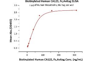 Immobilized Human Mesothelin, His Tag (ABIN2181517,ABIN2181516) at 10 μg/mL (100 μL/well) can bind Biotinylated Human CA125, Fc,Avitag (ABIN5954926,ABIN6253567) with a linear range of 2-78 ng/mL (QC tested).