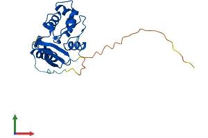 AlphaFold protein structure predicition of Human Recombinant MGMT Protein, UniprotID P16455