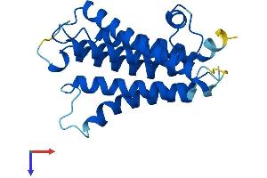 AlphaFold protein structure predicition of Mouse Recombinant Pigf Protein, UniprotID O09101