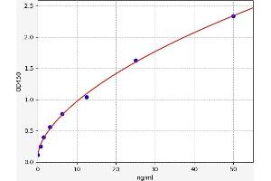 Typical standard curve (Septin 5 Kit ELISA)