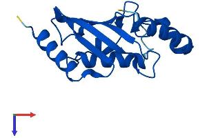 AlphaFold protein structure predicition of Human Recombinant UBE2B Protein, UniprotID P63146