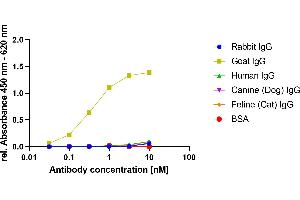 Goat IgG was coated on an ELISA plate at 100 ng. (Recombinant Souris anti-Chévre IgG Anticorps)