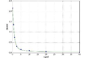 Proenkephalin (PENK) ELISA Kit