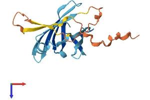 Lipocalin-Like 1 (LCNL1) (AA 1-164) protein (His tag)