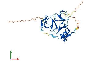 AlphaFold protein structure predicition of Mouse Recombinant Ssty1 Protein, UniprotID P13675