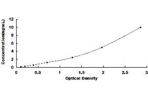 Typical standard curve (Integrin beta 5 Kit ELISA)