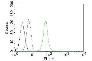 Flow Cytometry of human Vimentin on Jurkat cells.