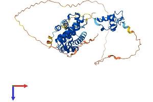 AlphaFold protein structure predicition of Mouse Recombinant Rxra Protein, UniprotID P28700