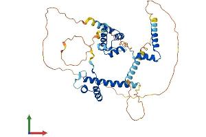 AlphaFold protein structure predicition of Mouse Recombinant Hmbox1 Protein, UniprotID Q8BJA3
