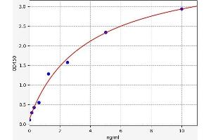 Typical standard curve (SLC41A1 Kit ELISA)