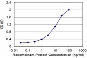 Detection limit for recombinant GST tagged SLC7A7 is approximately 0.