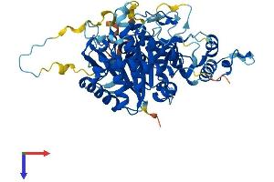 AlphaFold protein structure predicition of Mouse Recombinant Msto1 Protein, UniprotID Q2YDW2